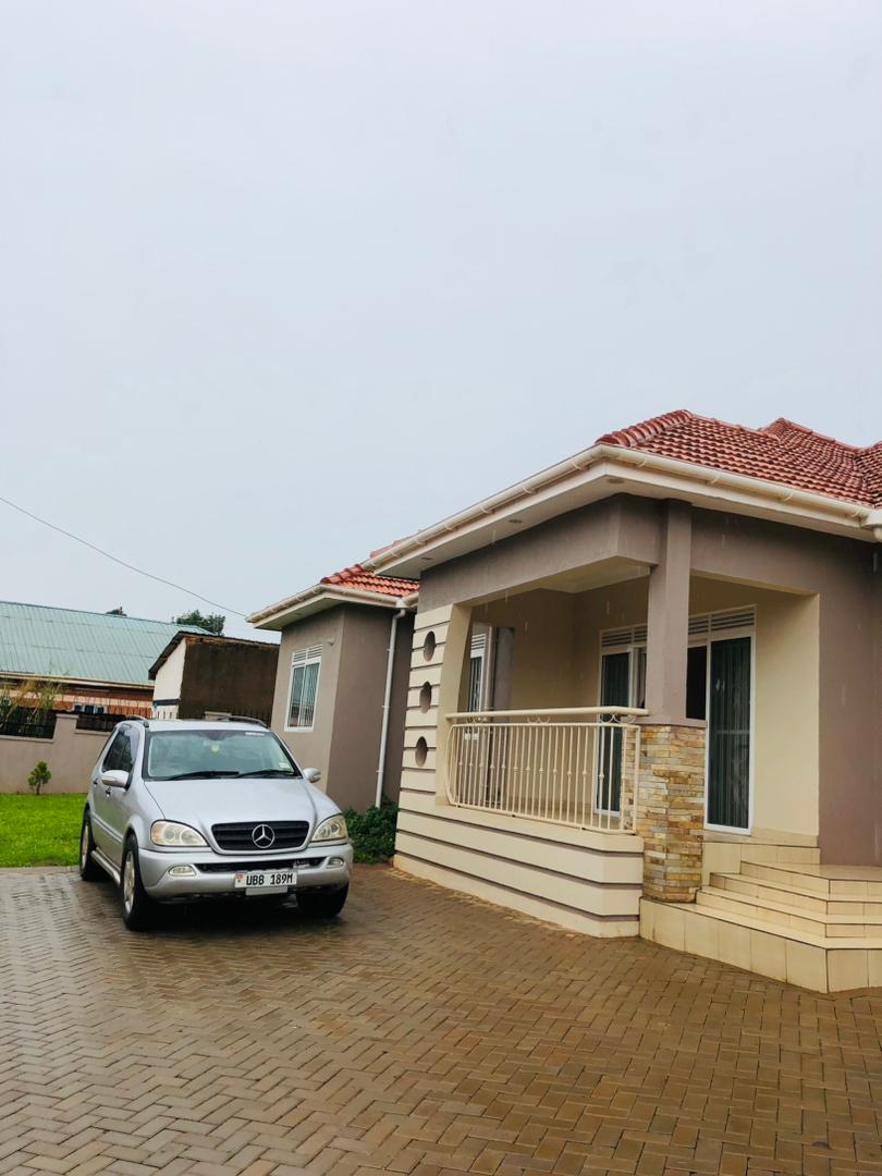 Professional Service